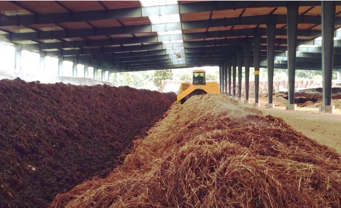 Compost Windrows